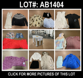 33 Unit Lot (SKU#: AB1404) Free People, Nautica, Guess, Max Studio, Kenneth Cole, Laundry, Tahari, and more