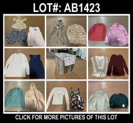 30 Unit Lot (SKU#: AB1423) Pink Rose, Steve Madden, Cocogio, Rachel Zoe, Under Armour, Vince Camuto and more