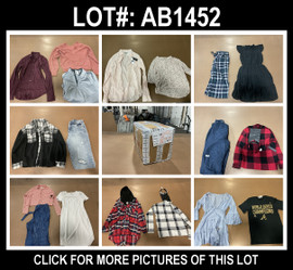 24 Unit Lot (SKU#: AB1452) Free People, Kensie Girl,  Tahari, Calvin Klein Dress, Reebox and more
