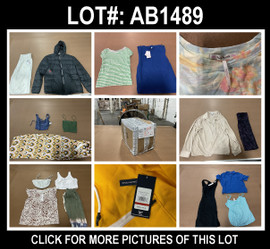 37 Unit Lot (SKU#: AB1489) Free People, Zara, House of Harlow, Kim & Cam, Polo, Lacoste, Harmony Balance, Jane + Delancey, and more