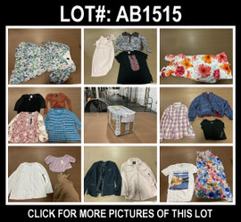 40 Unit Lot (SKU#: AB1515) Polo, Michael Kors, BCBGeneration, Alexia Admor, DKNY, Zara, Cable and Gague, Tahari, Aeropostale, Chetta B, Bagatelle, Taylor, and more