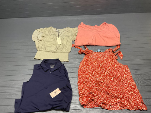 60 Unit Lot (SKU#: AB1641) Max Stuido,  Michael Kors, 21 Staints, Rachel Zoe, Rachel Roy, Joie, Premise, Zara, DKNY, Rachel Zoe, Cabel & Gauge, and more