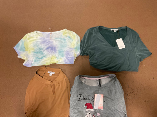 62 Unit Lot (SKU#: AB1200) Free People, Tahari, Max Studio, UA, Gap, House of Harlow, Calvin Klein, and more