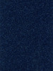 VYPOL3003 - POLARIS - Deep Space Blue