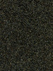 VYPOL3015 - POLARIS - Brightstar Gold