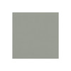 Zenith - Silver Grey - VYZV2011