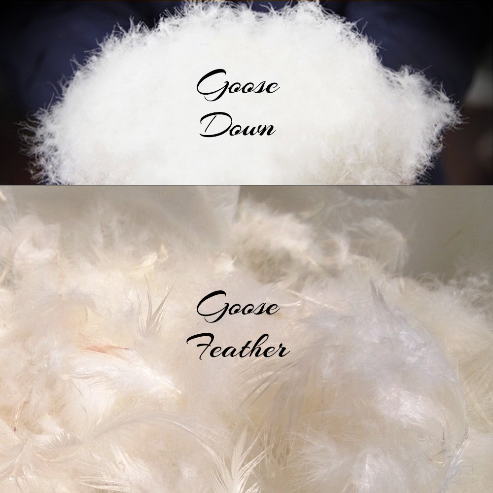 Goose Down, Duck Down and Feather Pillow Forms