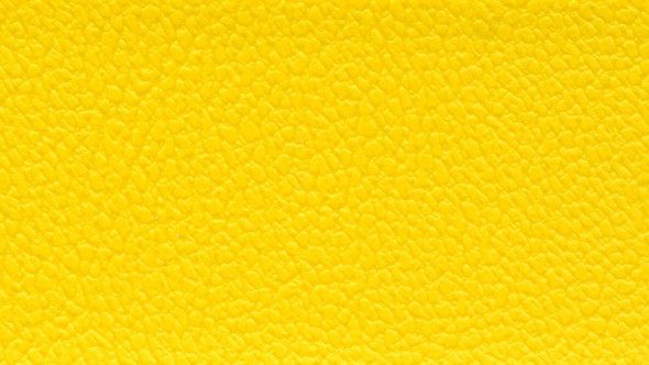 Allsport - Bright Yellow