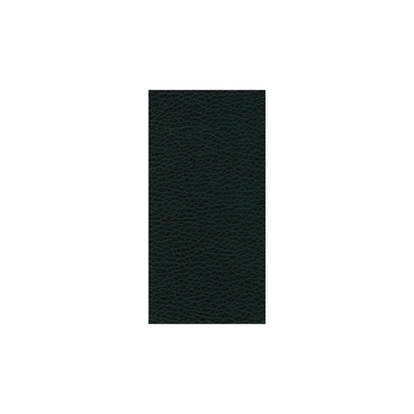 Denali - Black Dynasty Vinyl (54" Wide) (VLD-50) - Automotive Upholstery (VYAFV50)