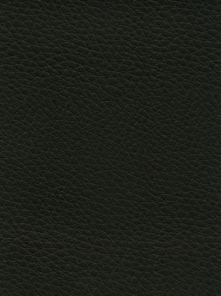 VYAFV51 - DENALI - Black Bristol