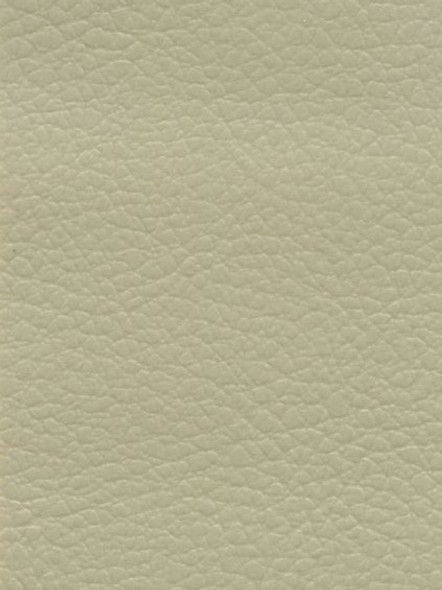 VYPA9049 - PALMA - Jaguar Ivory