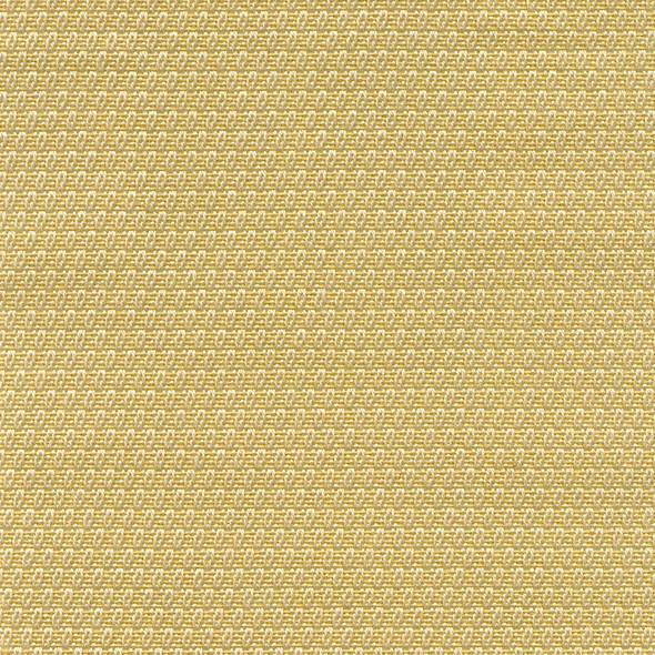 AF10203 - OVATIONS IV - Chick Bubbly