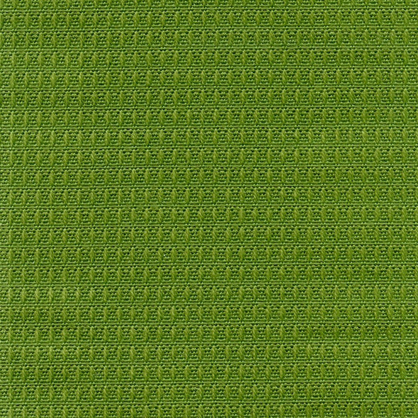 AF2668 - Grass ETC - OUTDURA OVATIONS IV