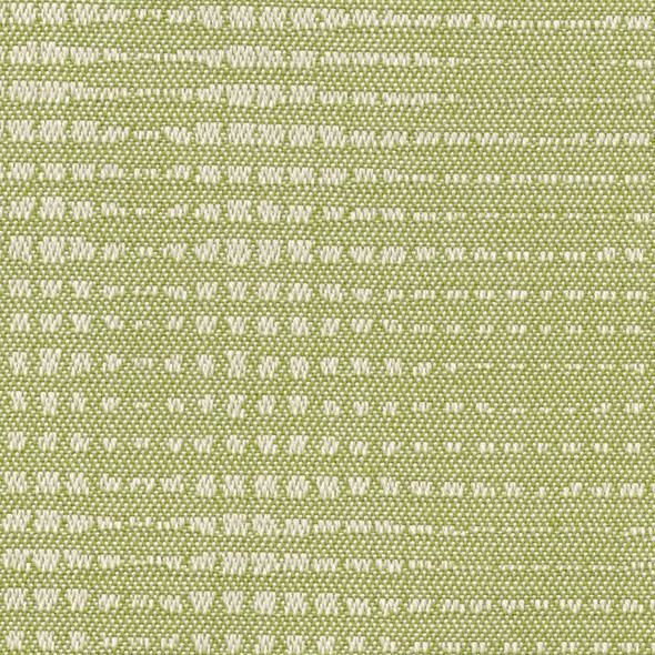 AF11307 - Basil Moonbeam - OUTDURA OVATIONS IV