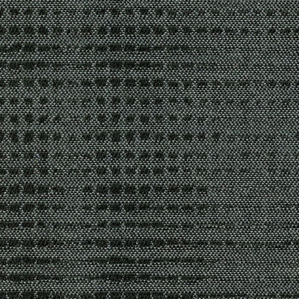 AF11316 - Coal Moonbeam - OUTDURA OVATIONS IV