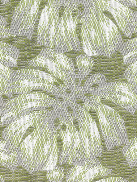 AF10704 - Basil Palm - OUTDURA OVATIONS IV