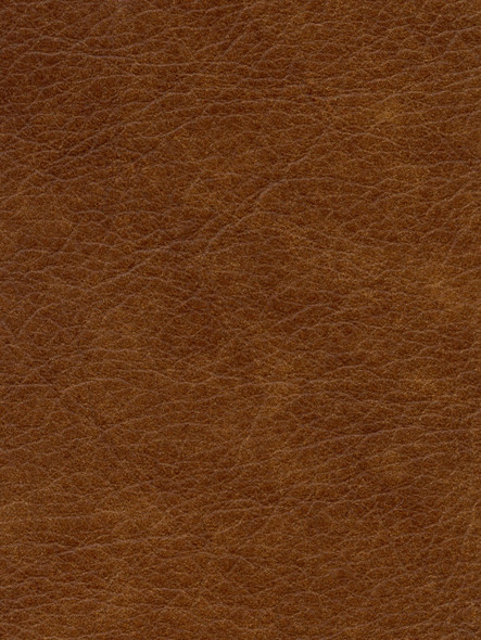 LIA04 - Fawn - INTERNATIONAL LEATHER COLLECTION