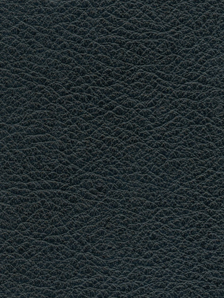 LIC03 - Deep Blue - INTERNATIONAL LEATHER COLLECTION