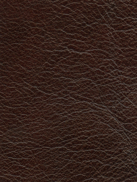 LIK04 - Bitters - INTERNATIONAL LEATHER COLLECTION