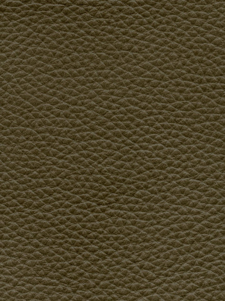 LIR05 - Olive - INTERNATIONAL LEATHER COLLECTION