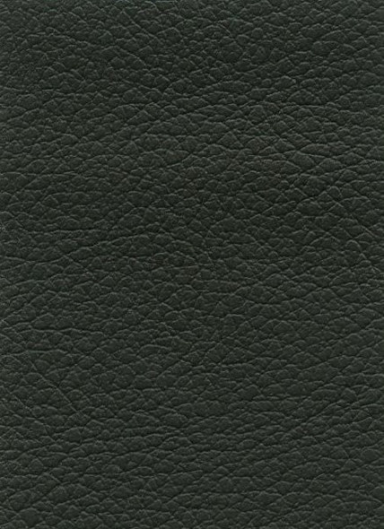 VYPA942P HAMP - PALMA - Dark Charcoal - Perforated