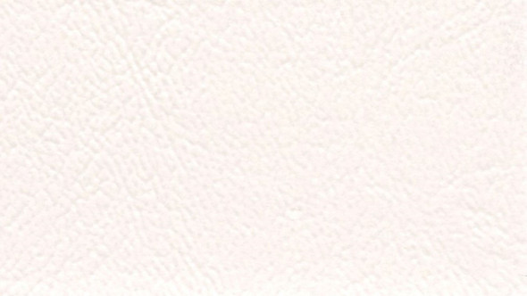 VYSB2 136F - SEABROOK II - D White Foamback