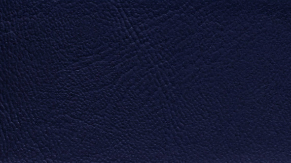 Morbern - Navy Wallaby Auto/Marine Vinyl (54" Wide) (MBL-5278)