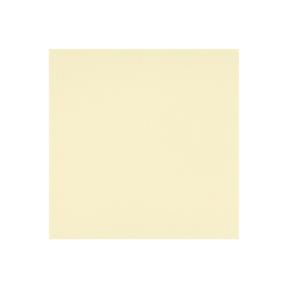 Zenith - GM White - VYZV2020