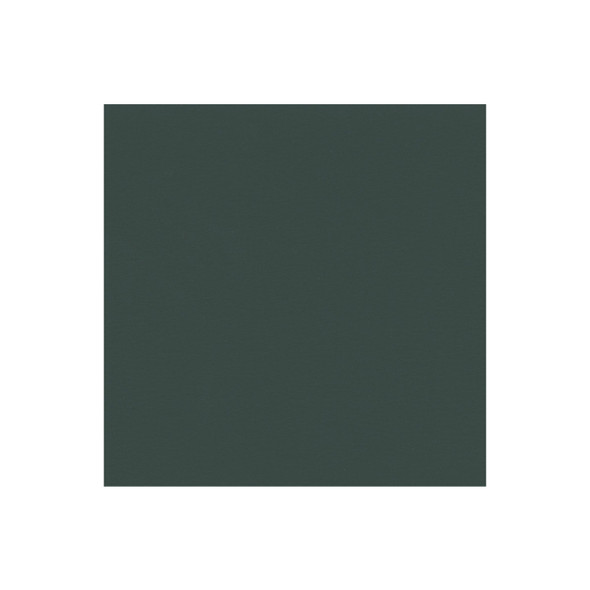 Zenith - Evergreen - VYZV2032