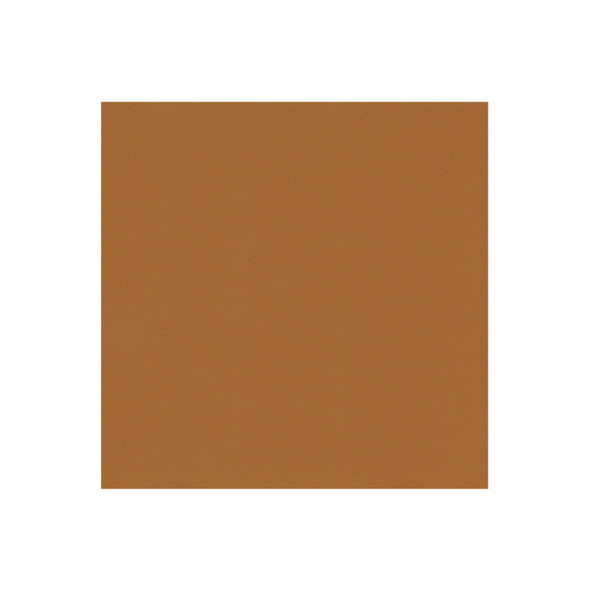 Zenith - Tan - VYZV2044