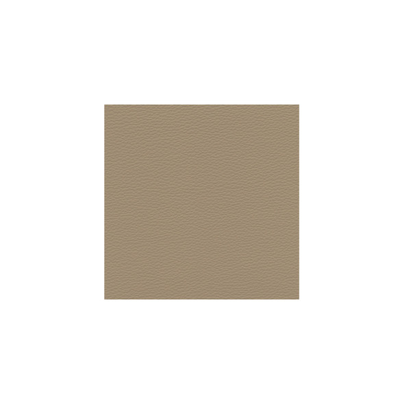 Zenith - Lexus Beige - VYZV2045