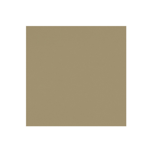 Zenith - Lexus Beige - VYZV2045