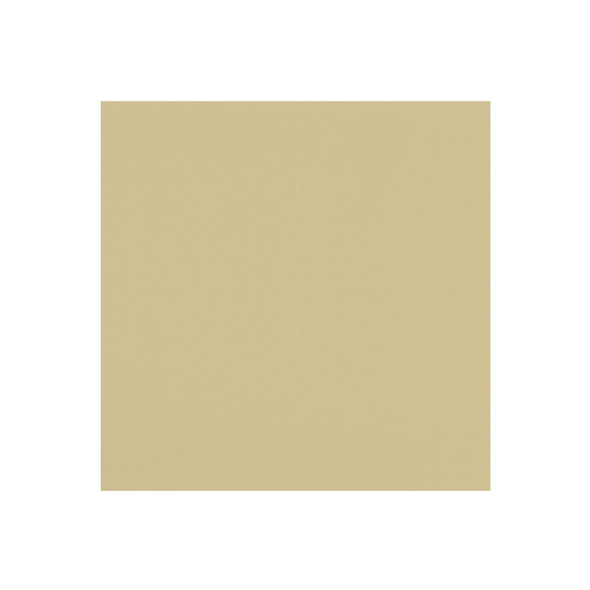 Zenith - Bone - VYZV2050