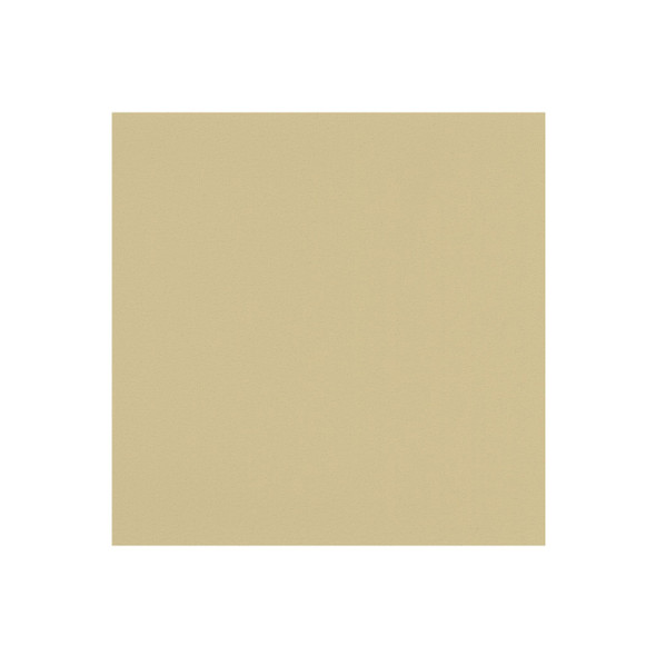 Zenith - Bone - VYZV2050