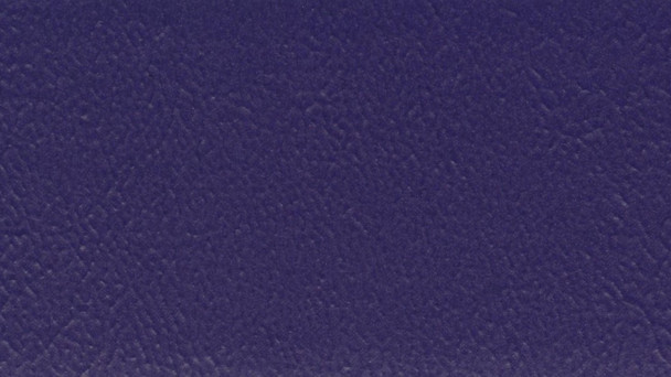 VYSB2 141 - Seabrook II - D Purple