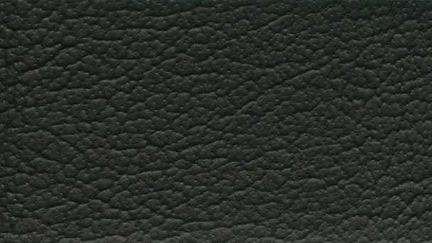 VYG7227 - G-GRAIN - Ebony