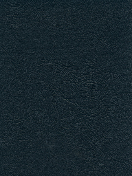 VYAFV10 - DENALI - Teal Blue Monticello