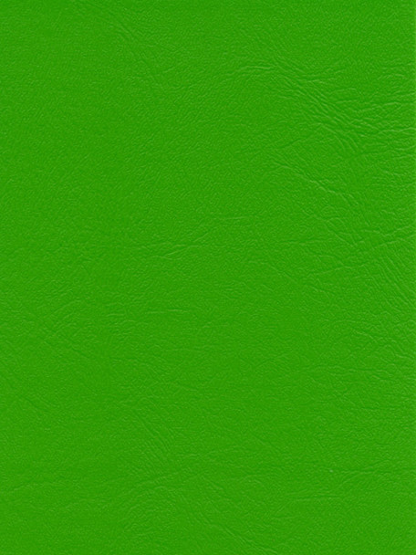 VYAFV38 - DENALI - Lime Green Monticello