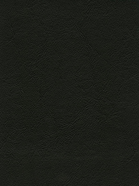 VYAFV55 - DENALI - Black Wallaby