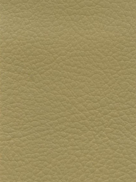 VYPA844 - PALMA - Creamy Ivory