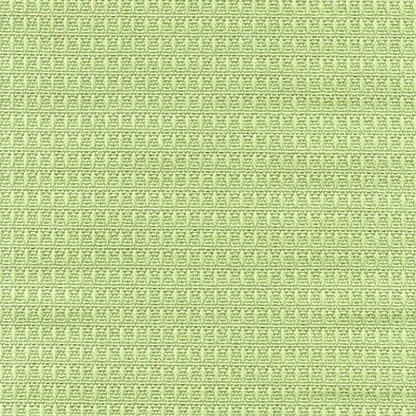 AF2671 - Asparagus ETC - OUTDURA OVATIONS IV