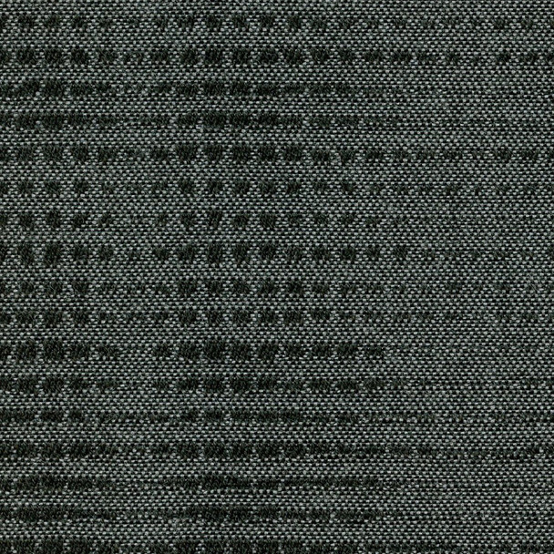 AF11316 - Coal Moonbeam - OUTDURA OVATIONS IV