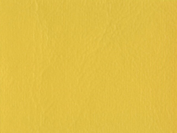 VYSC25 - Yellow - SEASCAPE