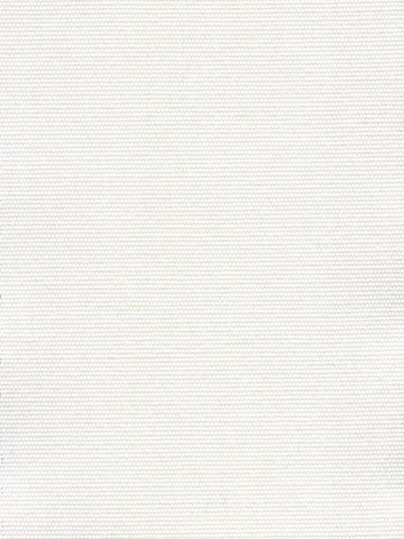 A5409 - Natural White - OUTDURA ACRYLIC CANVAS