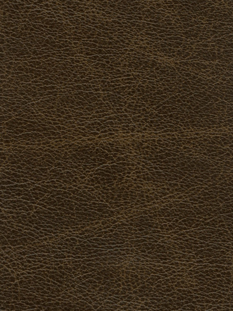 LIH03 - Sable - INTERNATIONAL LEATHER COLLECTION