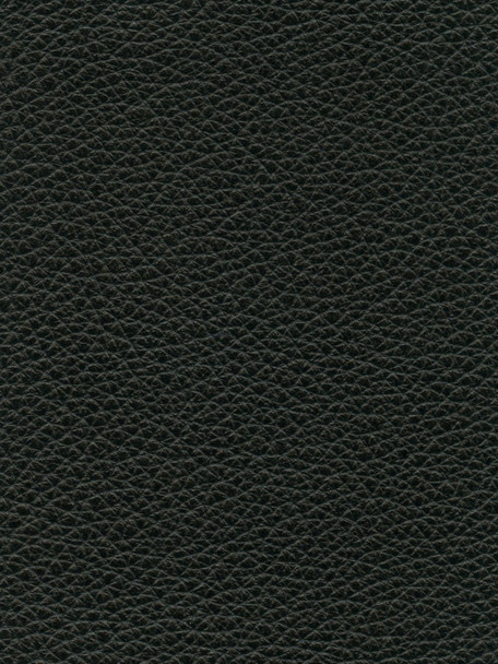 LEN53 - Noir - INTERNATIONAL LEATHER COLLECTION