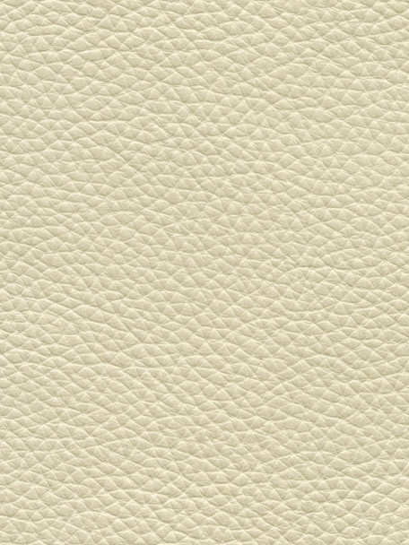 LIR03 - Dust - INTERNATIONAL LEATHER COLLECTION