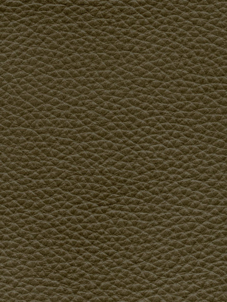 LIR05 - Olive - INTERNATIONAL LEATHER COLLECTION