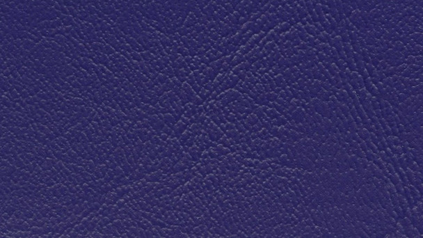 VYCL509 - CATALINA - Twilight Purple
