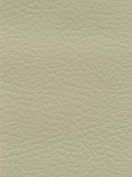 VYPA9049P MB4 - PALMA - Jaguar Ivory - Perforated